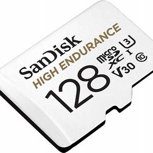 SanDisk High Endurance 128GB Video Monitoring Storage Media